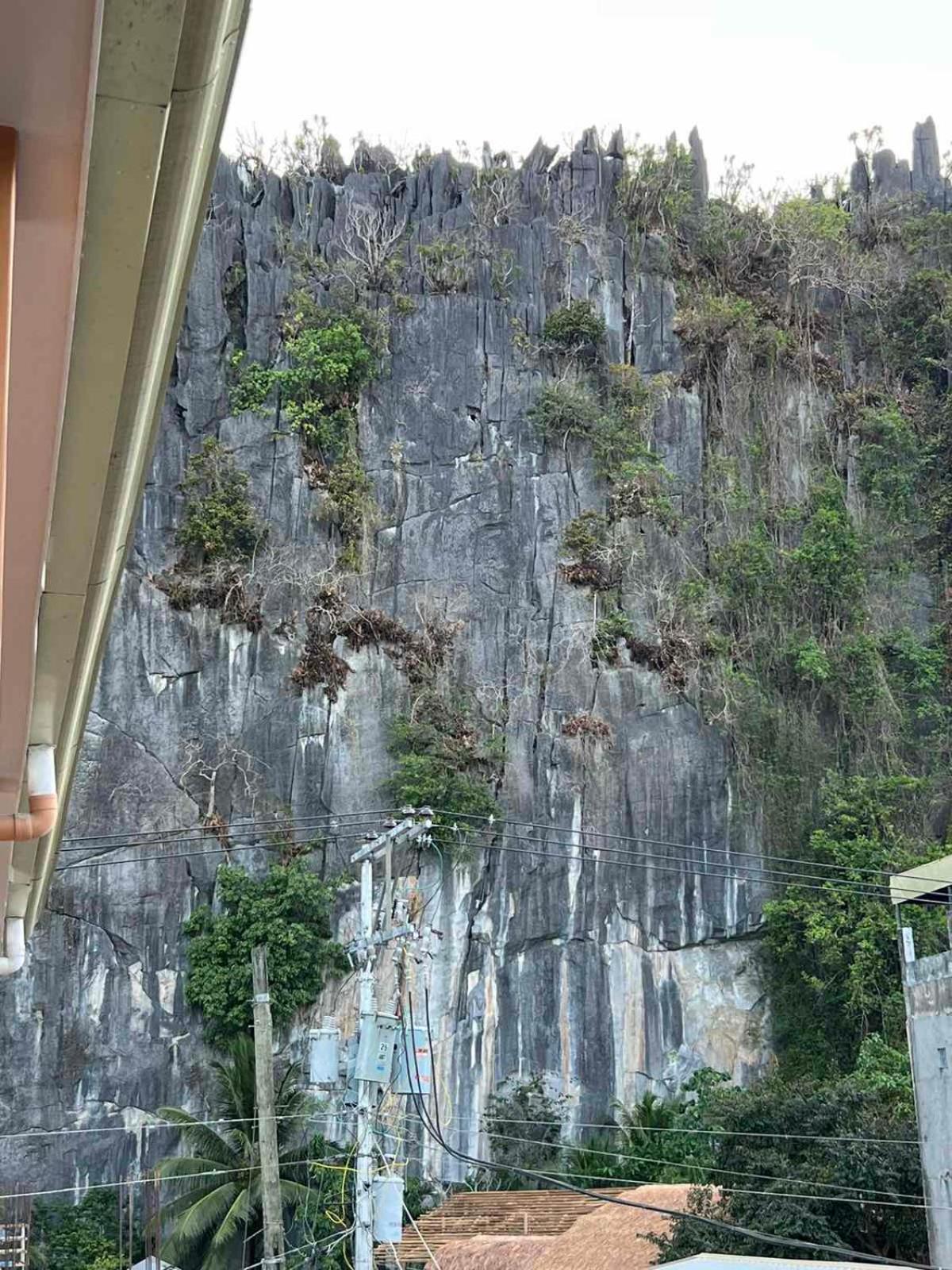Vencejos Inn - El Nido Eksteriør billede